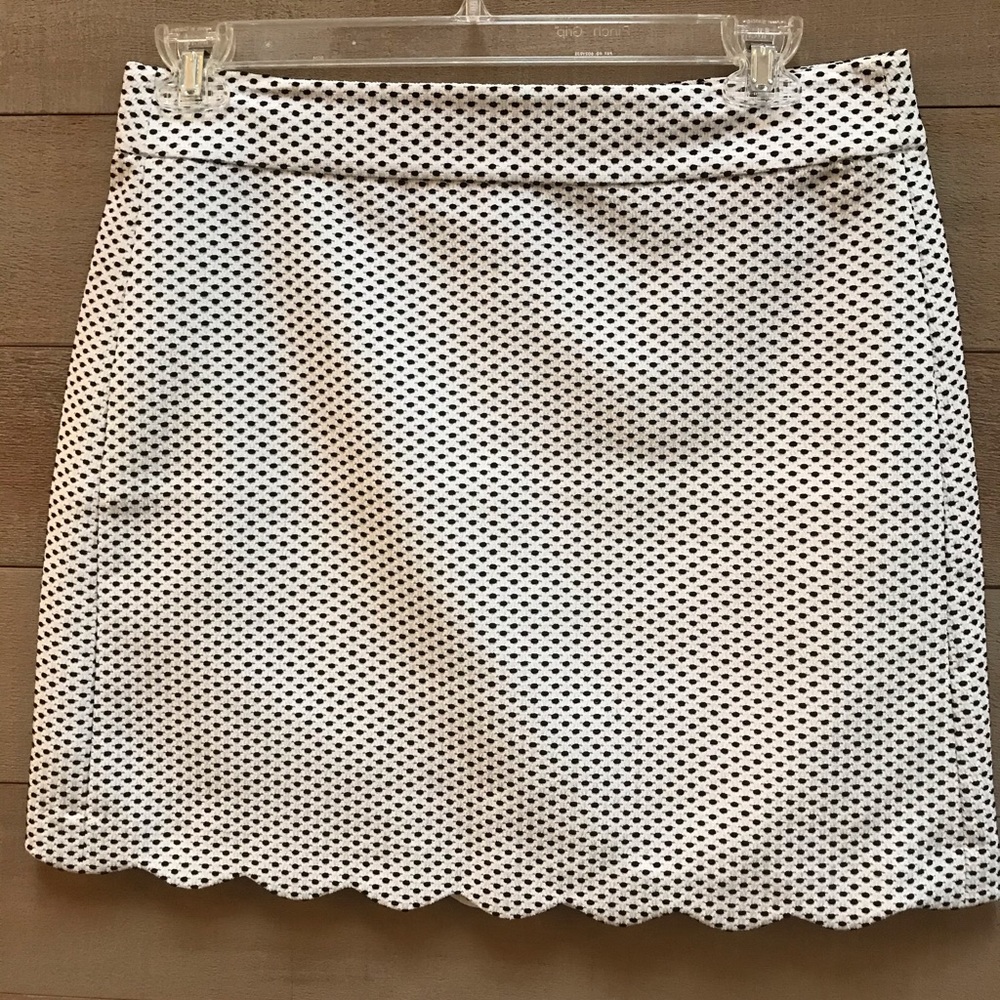 Ann Taylor LOFT Skirt s10